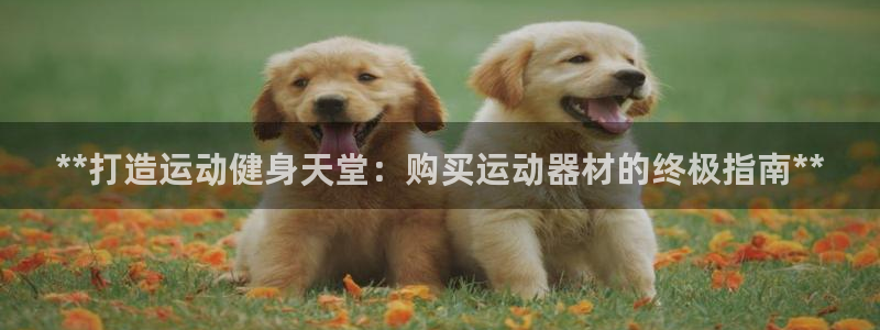 意昂3娱乐首页网站大全