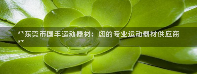 意昂3娱乐网站：**东莞市国丰运动器材：您的专业运动