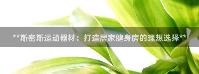 意昂3娱乐首页官网下载：**斯密斯运动器材：打造居家