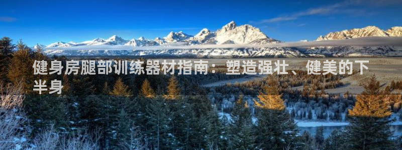 意昂体育3招商：健身房腿部训练器材指南：塑造强壮、健