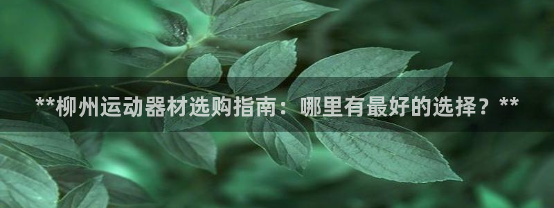 意昂体育3平台注册要钱吗：**柳州运动器材选购指南：
