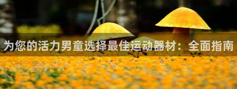意昂3集团：为您的活力男童选择最佳运动器材：全面指南
