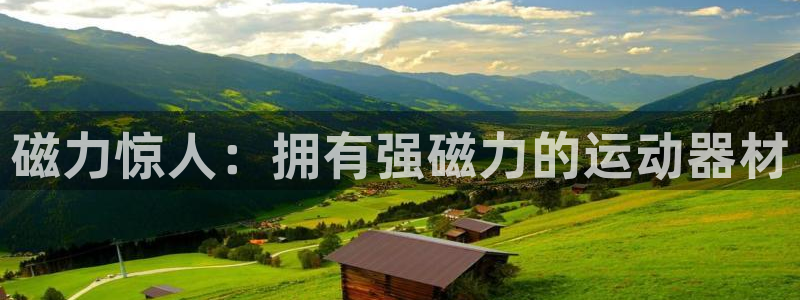 意昂3集团官网首页网址：磁力惊人：拥有强磁力的运动器