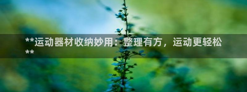 意昂3娱乐代理怎么样：**运动器材收纳妙用：整理有方