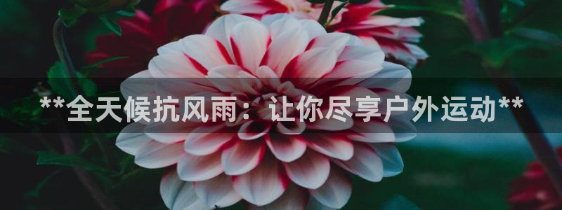 意昂3官方：**全天候抗风雨：让你尽享户外运动**