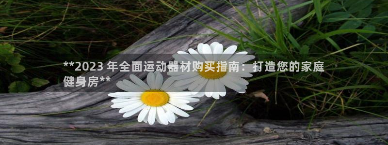 意昂体育3开户：**2023 年全面运动器材购买指南