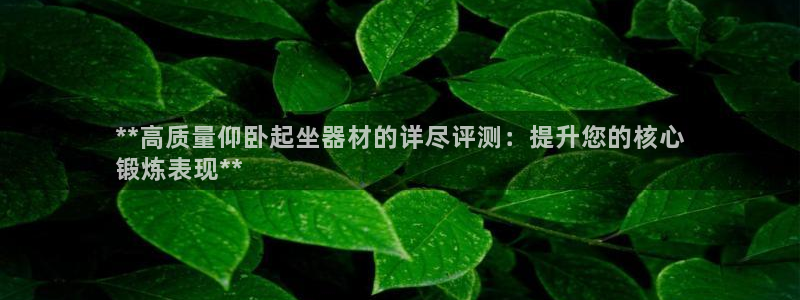 意昂3娱乐首页官网下载：**高质量仰卧起坐器材的详尽