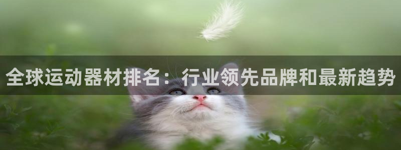 意昂体育3官方客服电话：全球运动器材排名：行业领先品