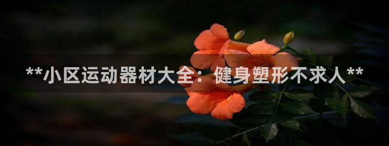 意昂体育3平台：**小区运动器材大全：健身塑形不求人