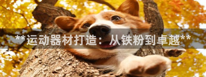 意昂体育3招商电话地址是多少：**运动器材打造：从铁