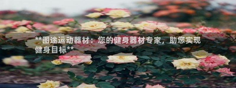 意昂体育3平台：**图途运动器材：您的健身器材专家，