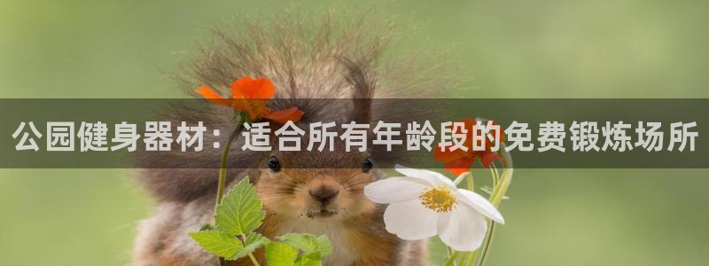 海南意昂体育3：公园健身器材：适合所有年龄段的免费锻
