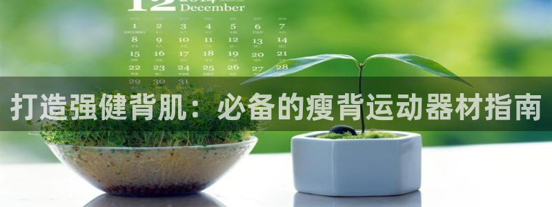 意昂体育3是干嘛的公司：打造强健背肌：必备的瘦背运动