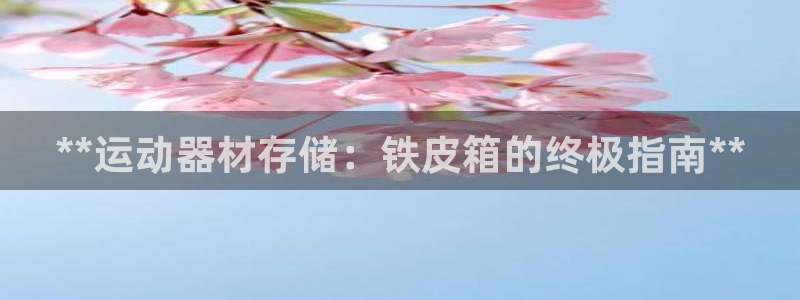 意昂3娱乐：**运动器材存储：铁皮箱的终极指南**