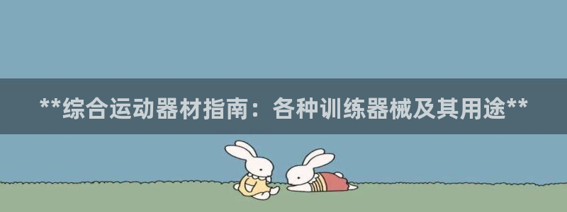 意昂体育3官方客服电话：**综合运动器材指南：各种训