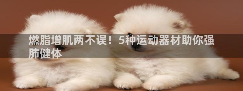 意昂3娱乐平台：燃脂增肌两不误！5种运动器材助你强
