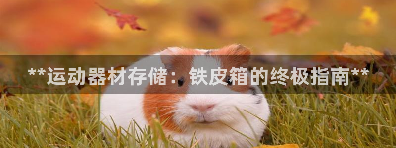 意昂3集团E.ON