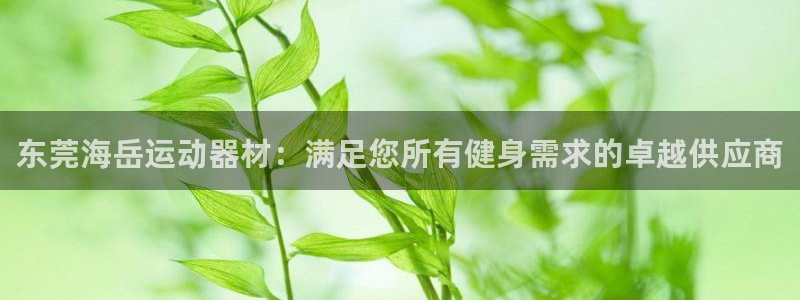 意昂3娱乐网站：东莞海岳运动器材：满足您所有健身需求