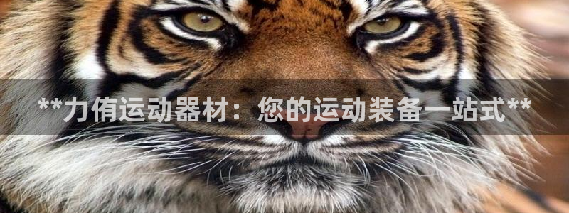 意昂3娱乐首页网站大全