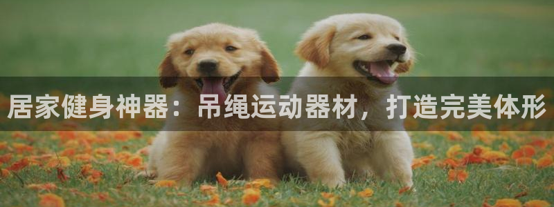 意昂体育3招商电话是多少：居家健身神器：吊绳运动器材