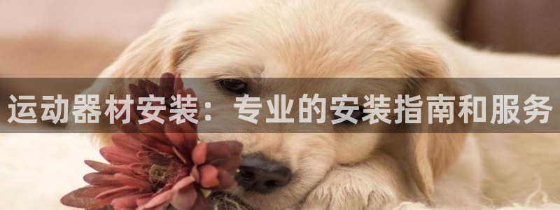 意昂3集团：运动器材安装：专业的安装指南和服务