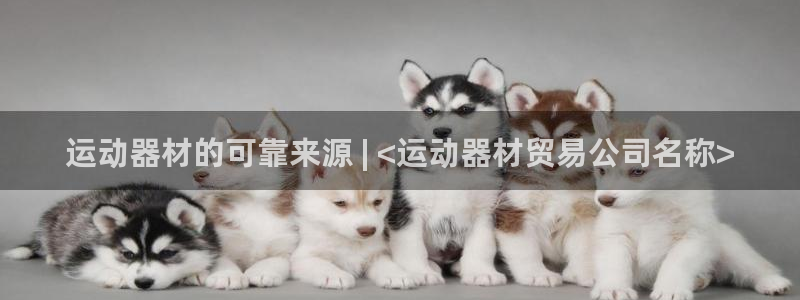 意昂3娱乐网站：运动器材的可靠来源 | <运动器材贸