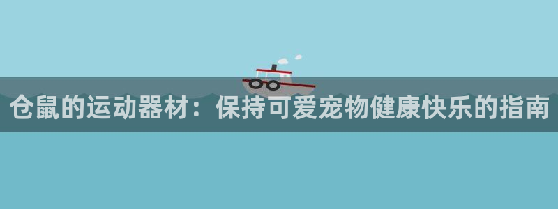 意昂3娱乐：仓鼠的运动器材：保持可爱宠物健康快乐的指