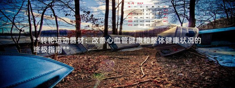 意昂体育3招商电话号码：**转轮运动器材：改善心血管