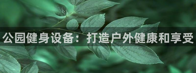 意昂体育3官方客服电话：公园健身设备：打造户外健康和