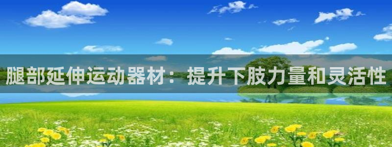 意昂体育3是干嘛的公司：腿部延伸运动器材：提升下肢力