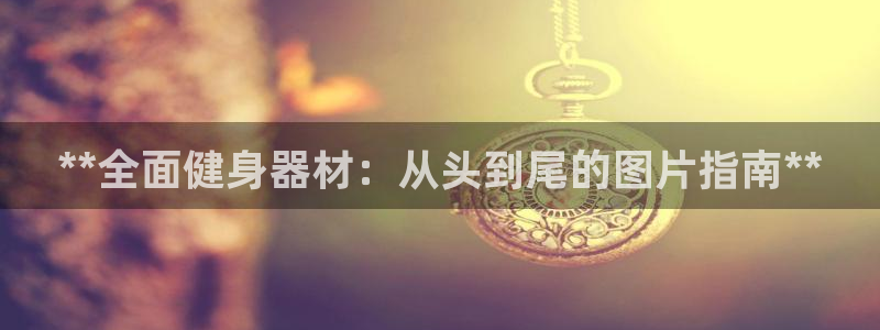 意昂体育3平台：**全面健身器材：从头到尾的图片指南