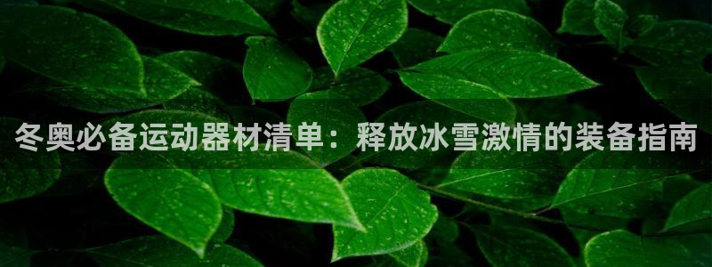 意昂3五金厂：冬奥必备运动器材清单：释放冰雪激情的装