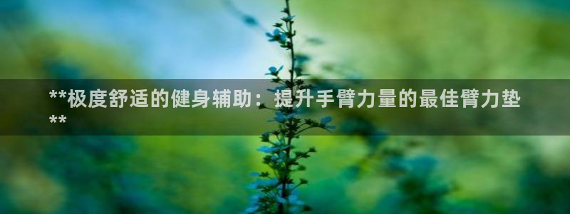 意昂3娱乐是那个系列的台子：**极度舒适的健身辅助：