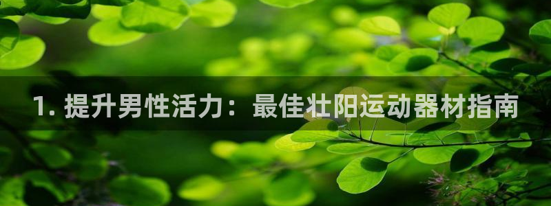 意昂3娱乐网站：1. 提升男性活力：最佳壮阳运动器材指南