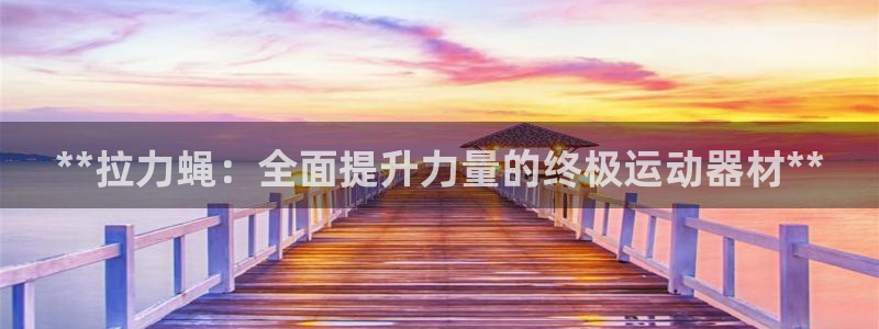 意昂体育3平台APP：**拉力蝇：全面提升力量的终极