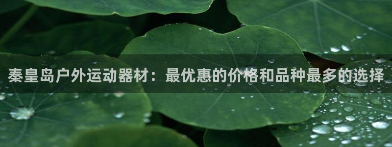 意昂集团官网：秦皇岛户外运动器材：最优惠的价格和品种
