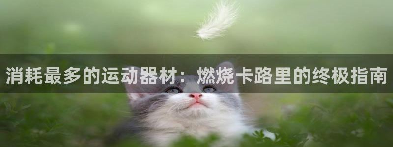 意昂体育3招商电话号码查询是多少：消耗最多的运动器材