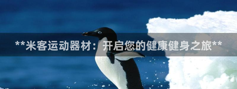 意昂3娱乐：**米客运动器材：开启您的健康健身之旅*