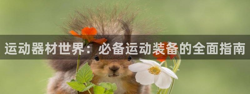 意昂3集团官网首页网址：运动器材世界：必备运动装备的