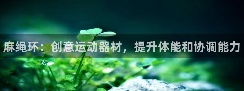 意昂3集团简介：麻绳环：创意运动器材，提升体能和协调