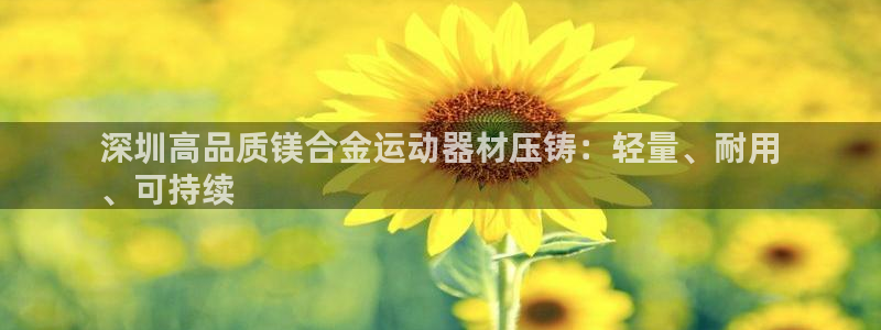 意昂3新能源：深圳高品质镁合金运动器材压铸：轻量、耐用
、可