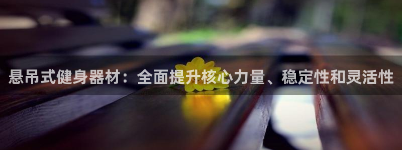 意昂3娱乐首页官网下载：悬吊式健身器材：全面提升核心