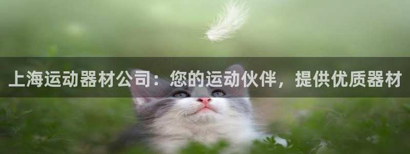 意昂3集团官网首页：上海运动器材公司：您的运动伙伴，