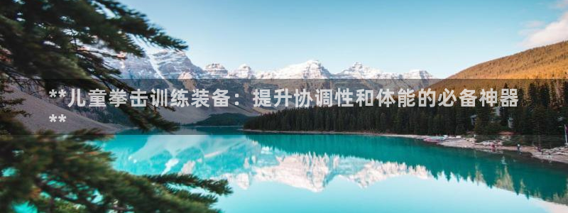 意昂体育3平台假的吗是真的吗吗：**儿童拳击训练装备：提升协