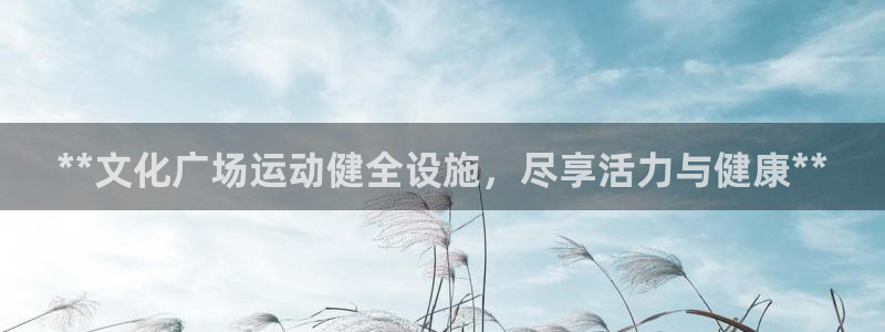 意昂3集团logo：**文化广场运动健全设施，尽享活力与健康