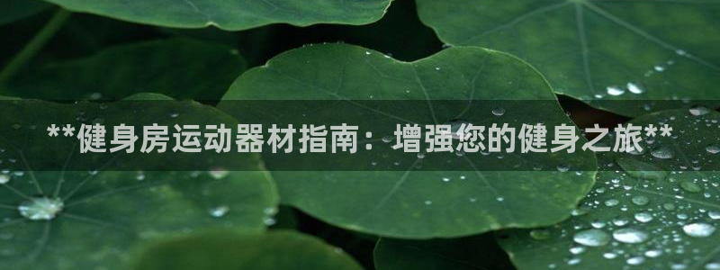 意昂体育3注册：**健身房运动器材指南：增强您的健身