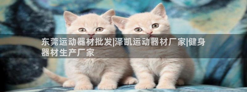 意昂体育3平台是正规平台吗知乎：东莞运动器材批发|泽