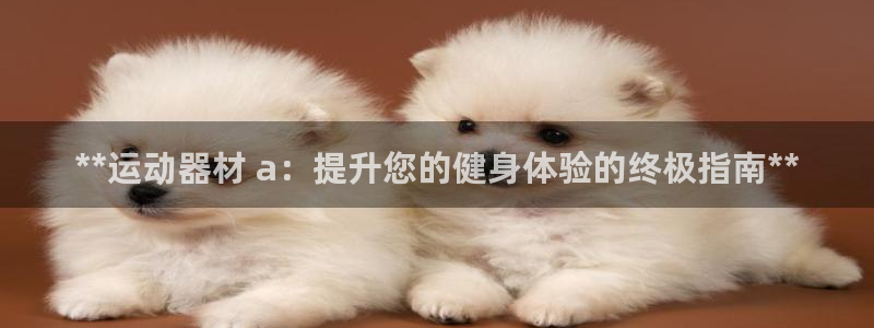 海南意昂体育3：**运动器材 a：提升您的健身体验的终极指南