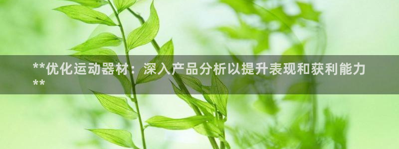 意昂体育3软件：**优化运动器材：深入产品分析以提升