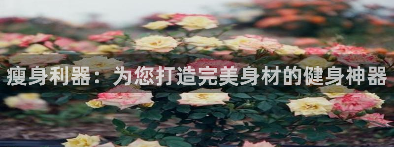 意昂体育3招商